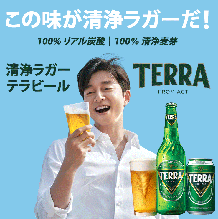 韓国 TERRAビールグラス 1個 - キッチン/食器